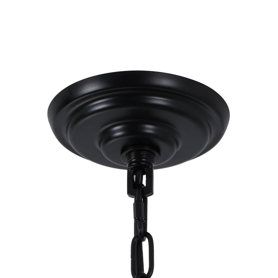Farmhouze Light - French Country Luxe Glass Flower Round Drum Cage Chandelier - Chandelier - Black - 