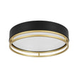 Load image into Gallery viewer, Farmhouze Light-Gold Ring Accent Black Round Dimmable LED Ceiling Light-Ceiling Light-15.7 in-
