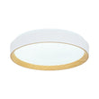 Load image into Gallery viewer, Farmhouze Light - Minimalist Dimmable LED Round Flush Mount Ceiling Light - Ceiling Light - 19.7 in - 
