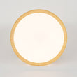 Load image into Gallery viewer, Farmhouze Light - Minimalist Dimmable LED Round Flush Mount Ceiling Light - Ceiling Light - 19.7 in - 
