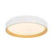 Load image into Gallery viewer, Farmhouze Light - Minimalist Dimmable LED Round Flush Mount Ceiling Light - Ceiling Light - 19.7 in - 
