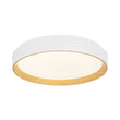 Load image into Gallery viewer, Farmhouze Light - Minimalist Dimmable LED Round Flush Mount Ceiling Light - Ceiling Light - 19.7 in - 
