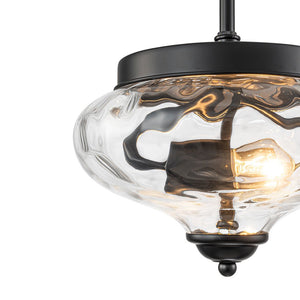 Farmhouze Light - Modern Round Water Glass Ceiling Pendant Light - Pendant - Black - 2 Packs - 