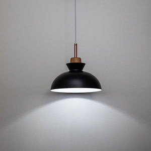 Farmhouze Light-1-Light Nordic Kitchen Metal Dome Pendant Light-Pendant-Black-1-Light