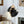 Load image into Gallery viewer, Farmhouze Lighting-Minimalist Black Hanging Pendant Light-Pendant-Default Title-
